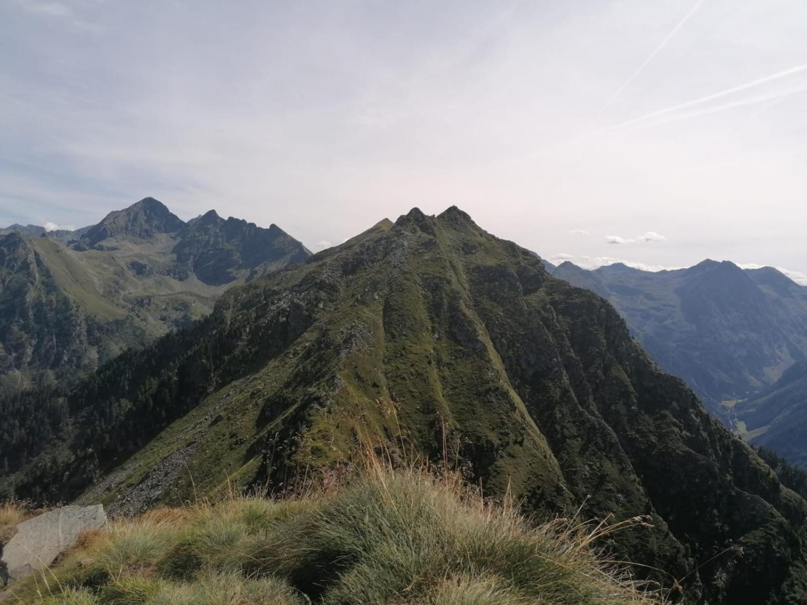 Appartementhaus Alma Exteriör bild
