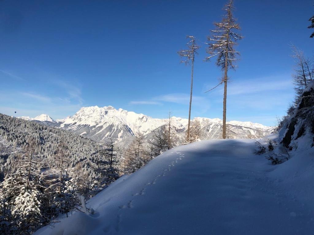 Appartementhaus Alma Exteriör bild